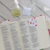 Magnetic Bookmarks 'Summer' Collection - Image 5